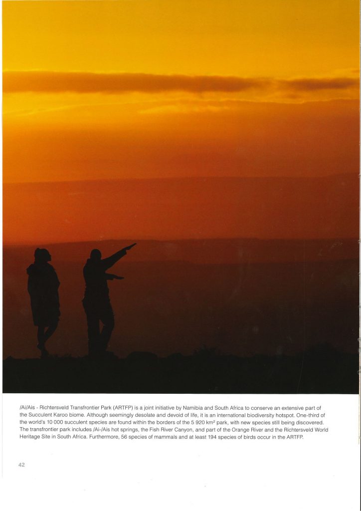 page7