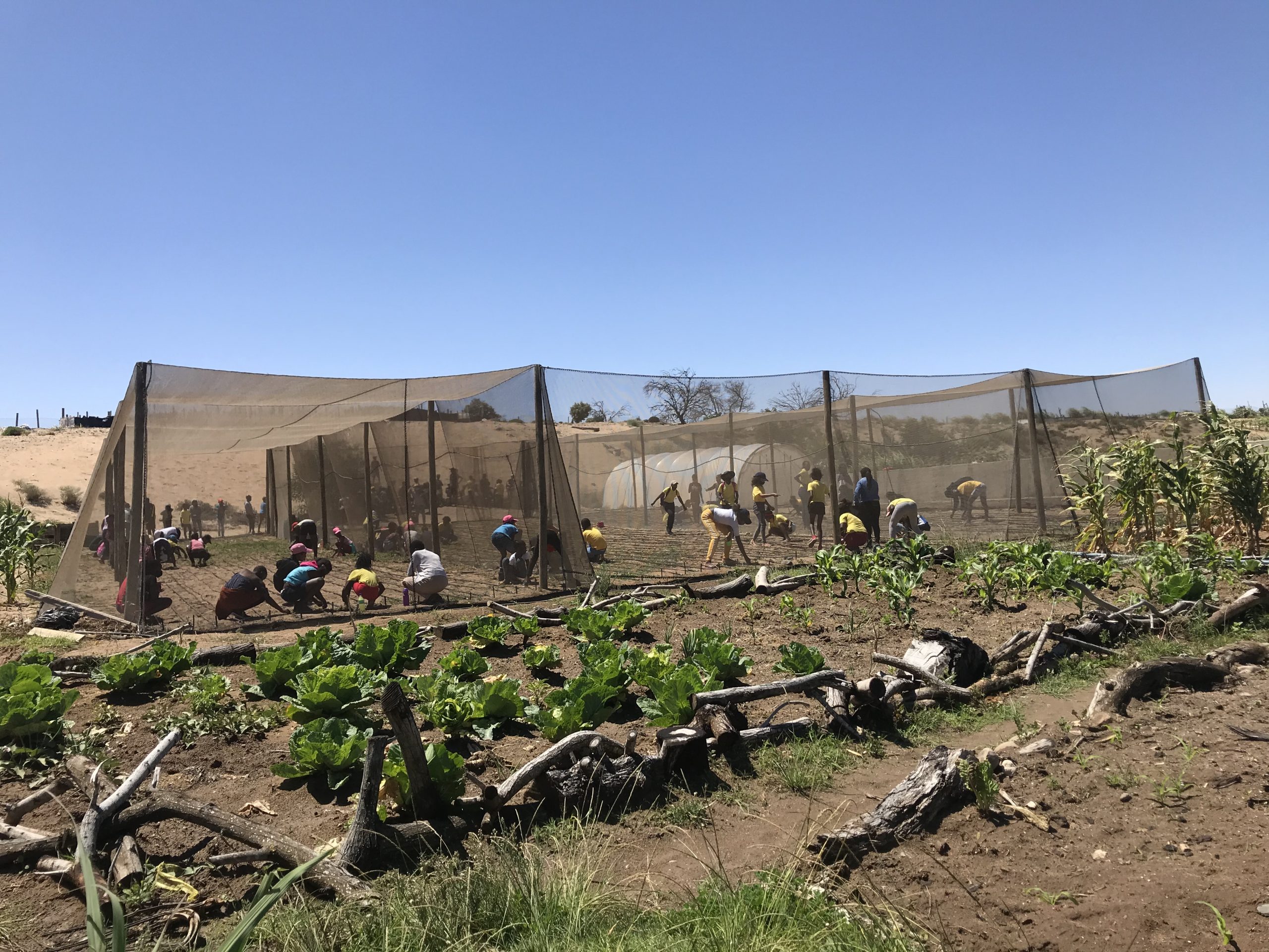 AAPS at Futree Community garden 2